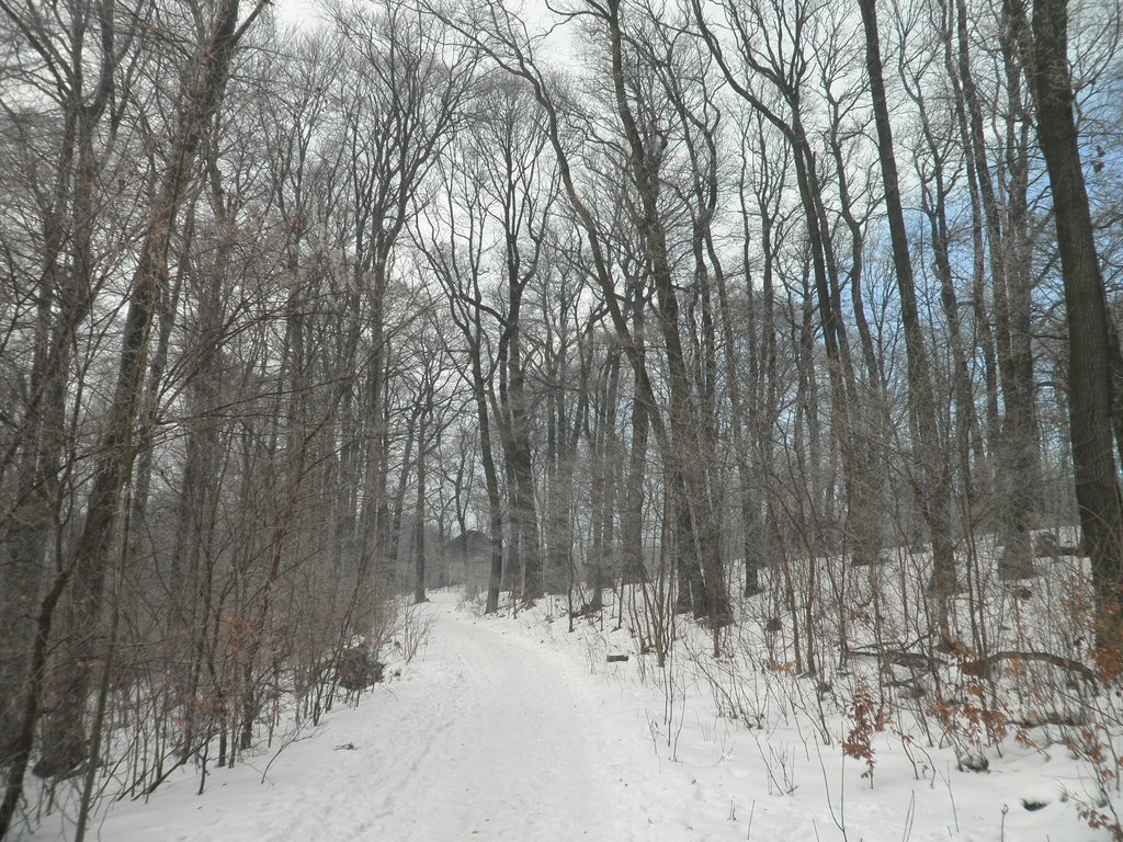 P1070008.JPG