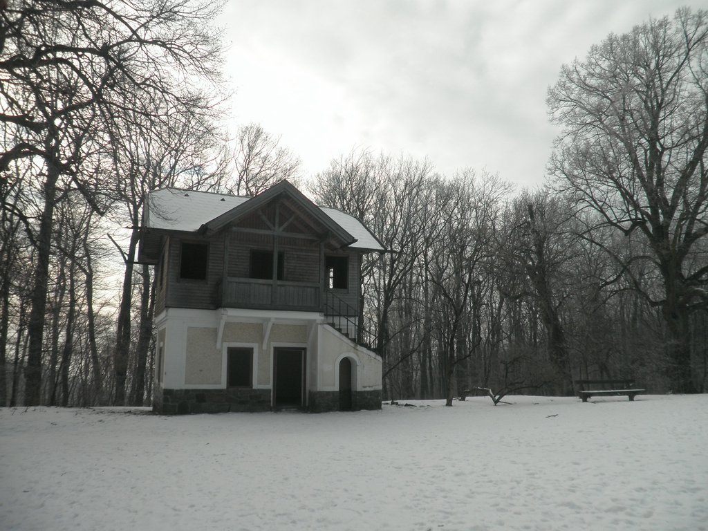 P1070009.JPG