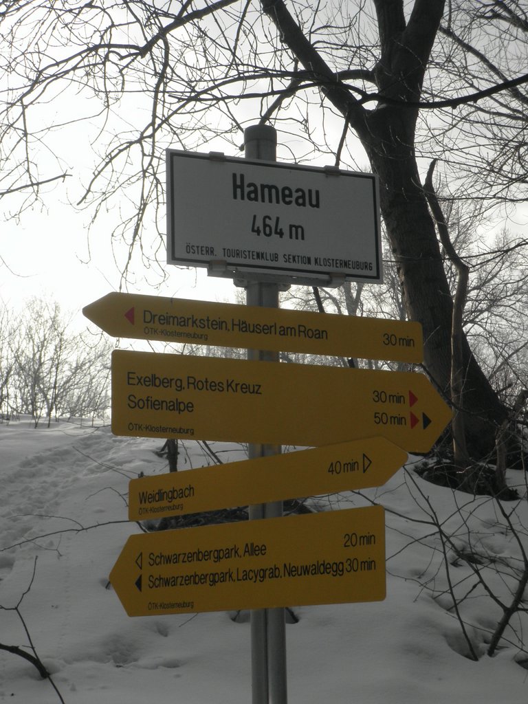 P1070011.JPG