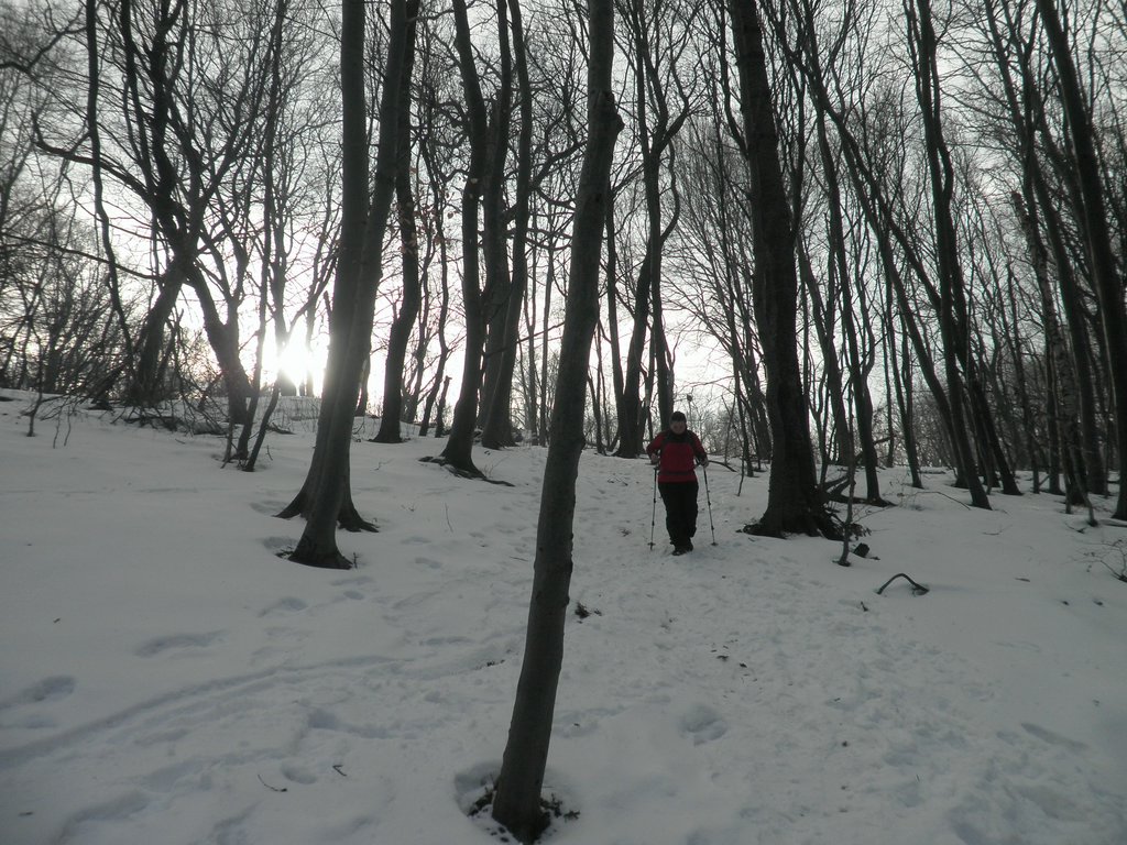 P1070012.JPG