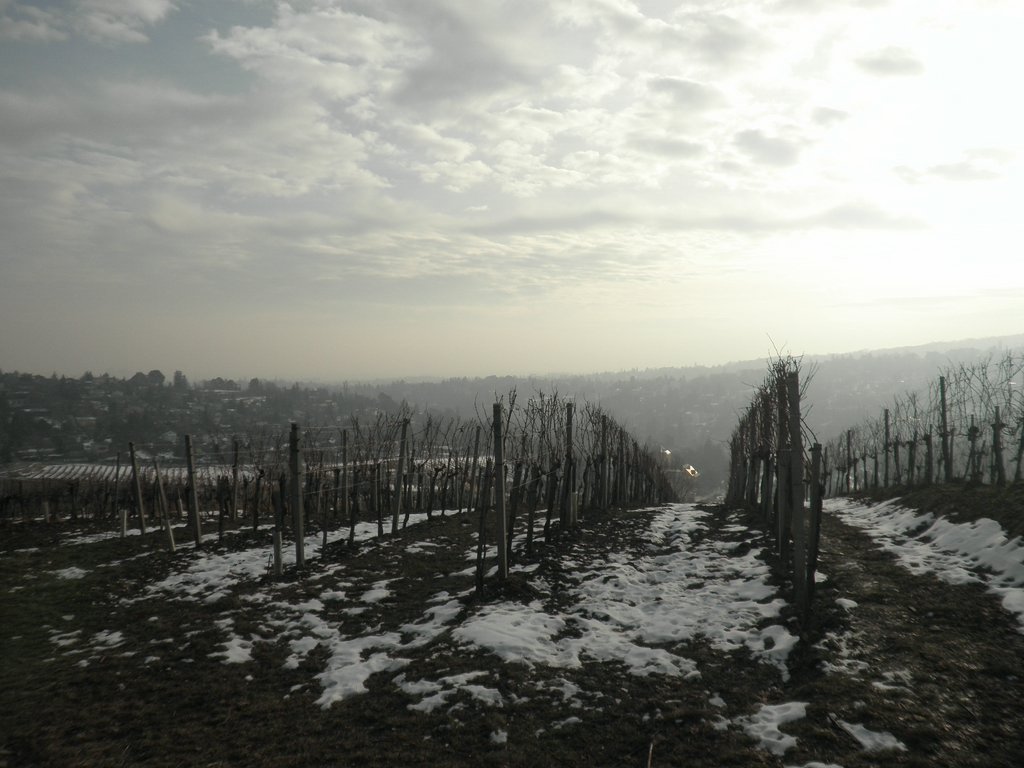 P1070021.JPG
