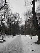 P1070003.JPG