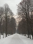 P1070005.JPG