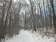 P1070008.JPG