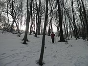 P1070012.JPG
