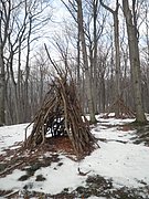 P1070013.JPG