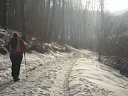 P1070015.JPG