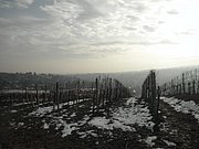 P1070021.JPG