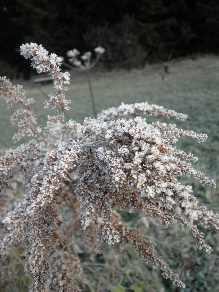 PA300004.JPG