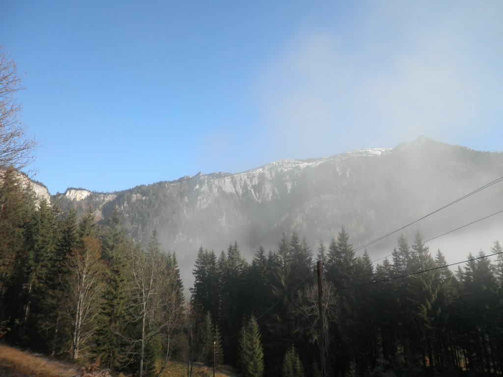 PA300005.JPG