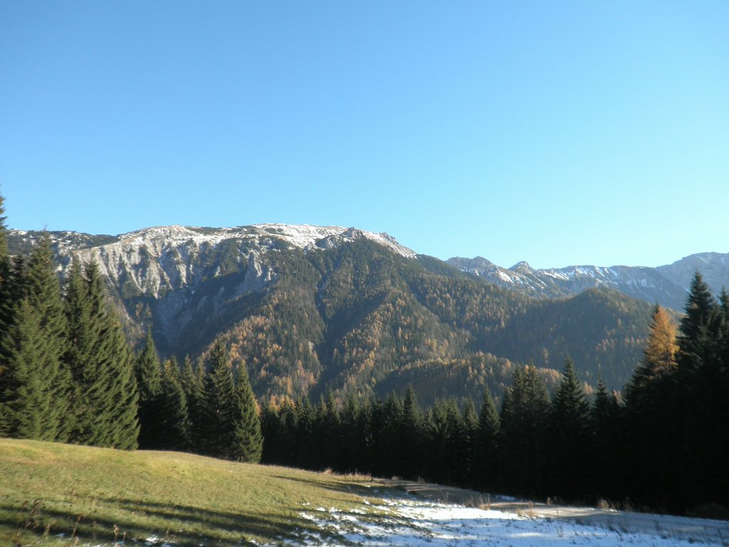 PA300008.JPG