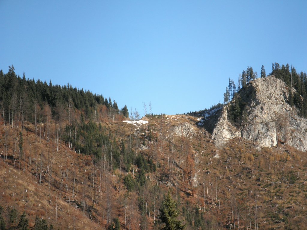 PA300019.JPG