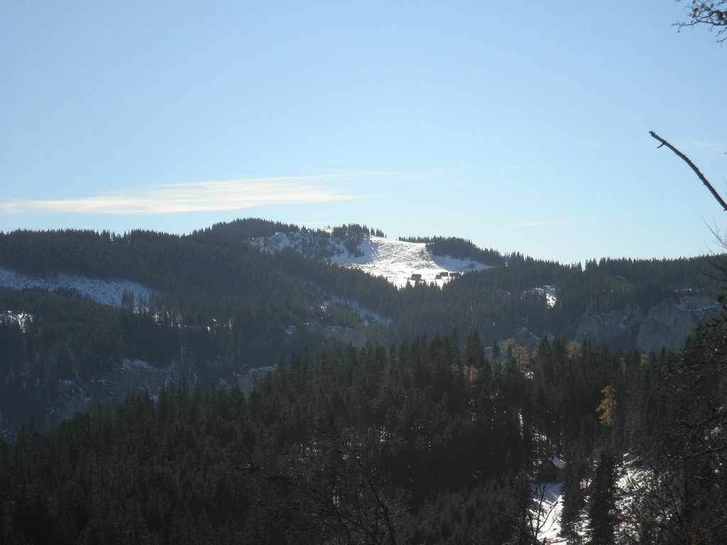PA300032.JPG