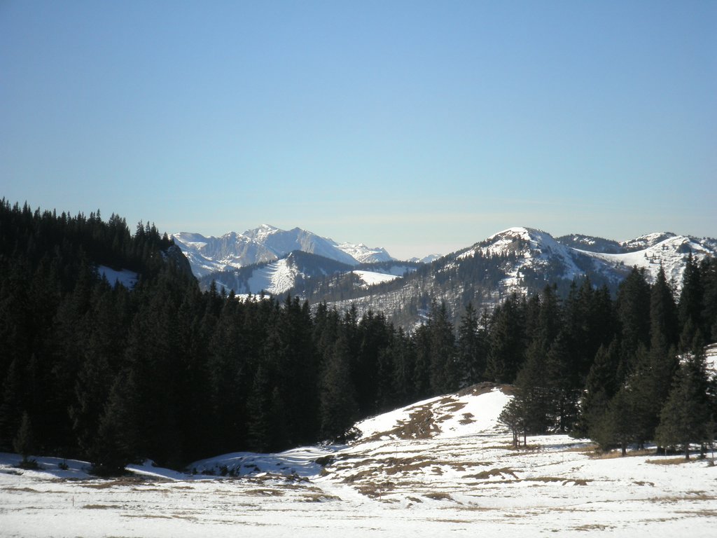 PA300040.JPG