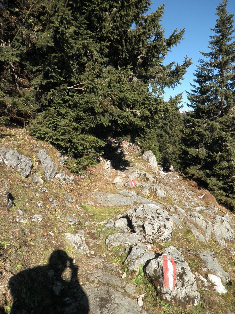 PA300050.JPG