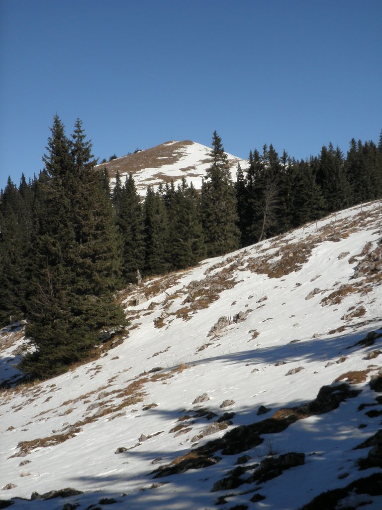 PA300051.JPG