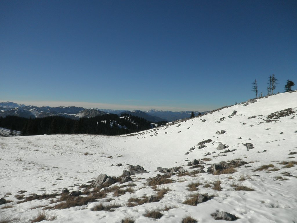 PA300056.JPG