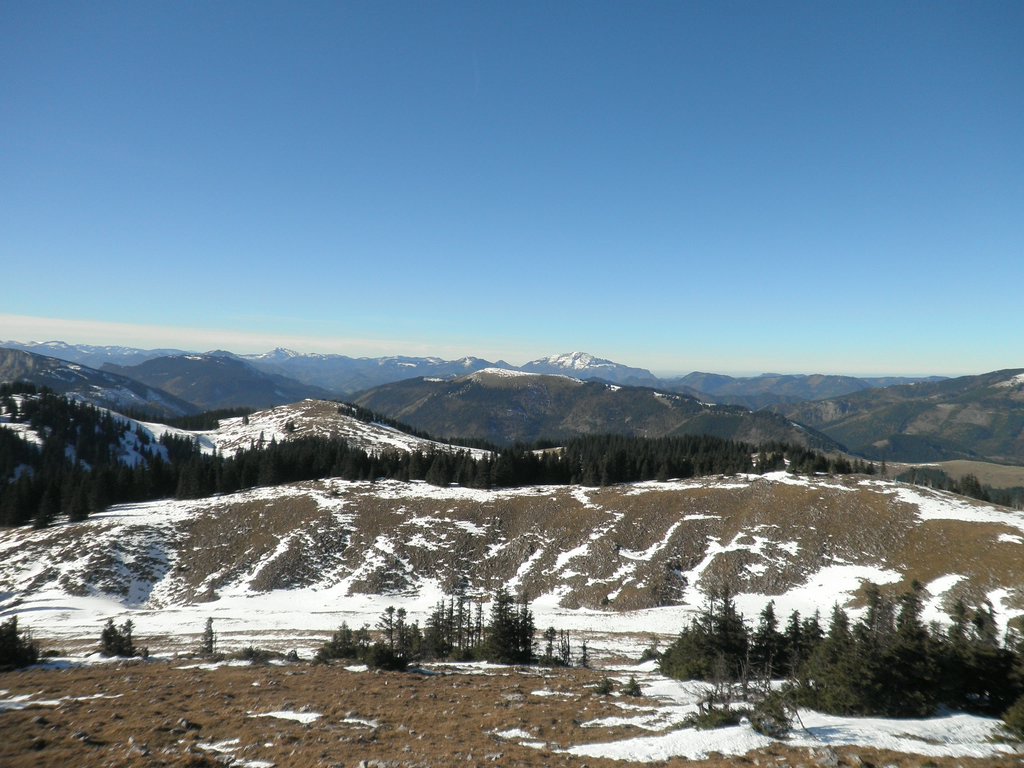 PA300065.JPG