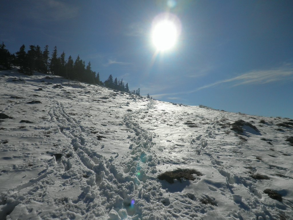 PA300075.JPG
