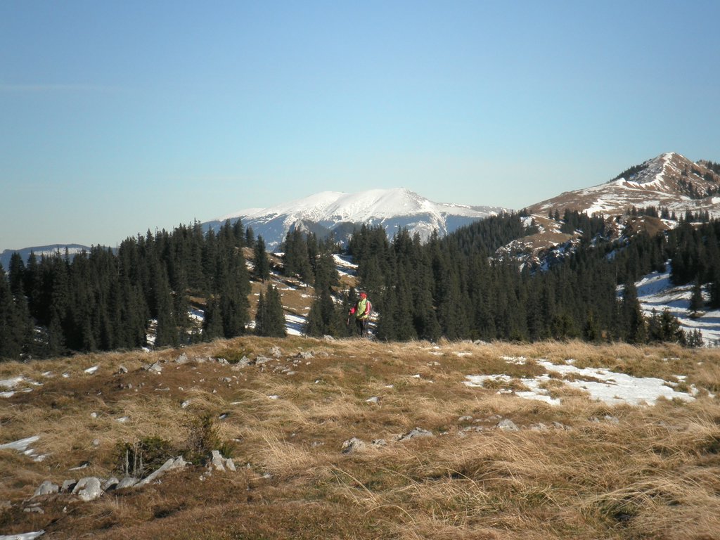 PA300081.JPG