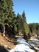 PA300023.JPG
