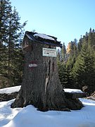 PA300028.JPG