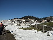 PA300038.JPG