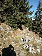 PA300050.JPG