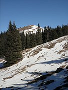 PA300051.JPG