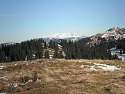 PA300081.JPG