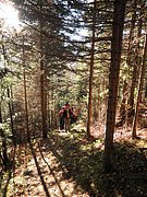 PA300103.JPG