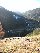 PA300104.JPG