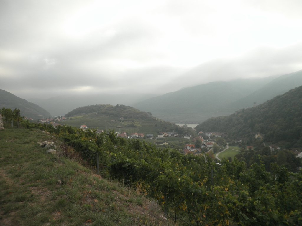 PA160011.JPG