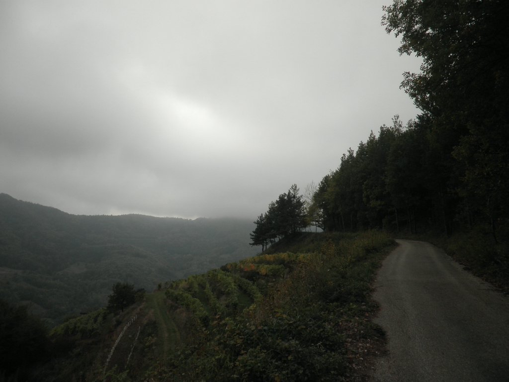 PA160014.JPG