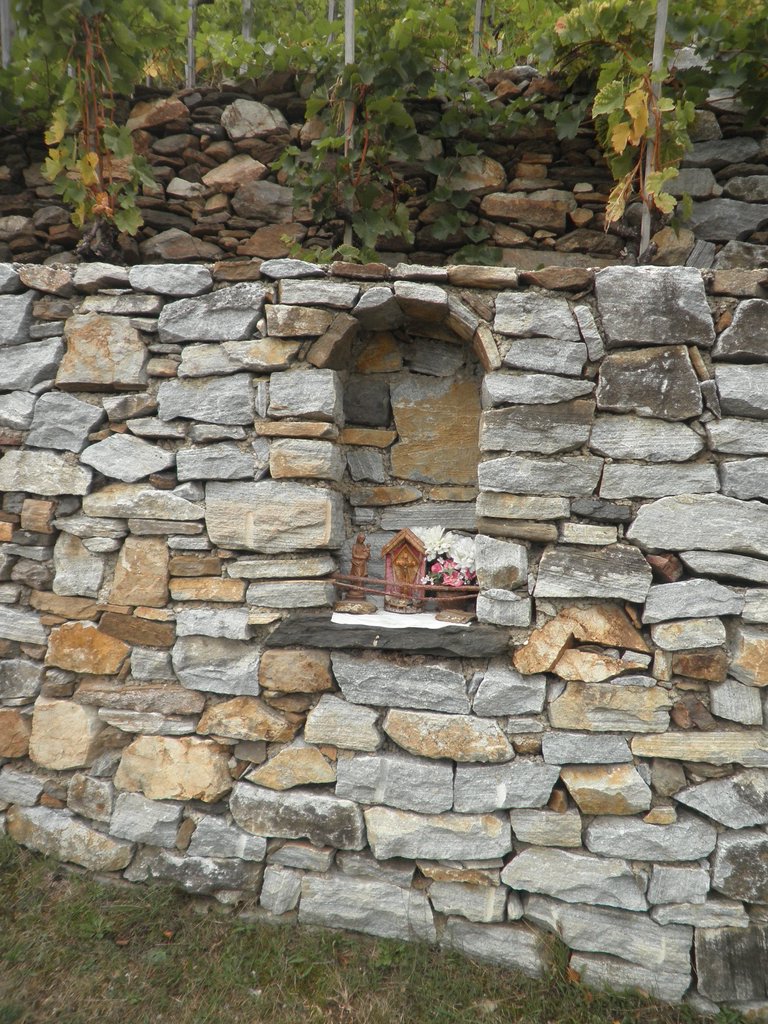 PA160018.JPG