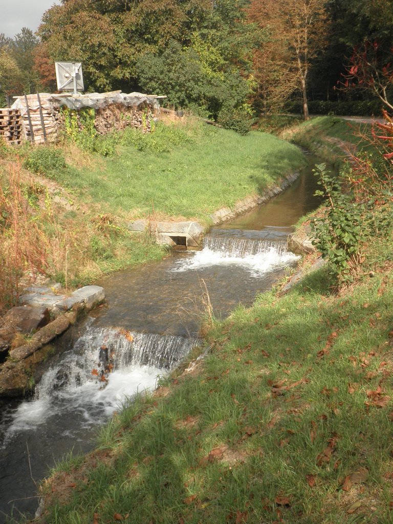 PA160025.JPG