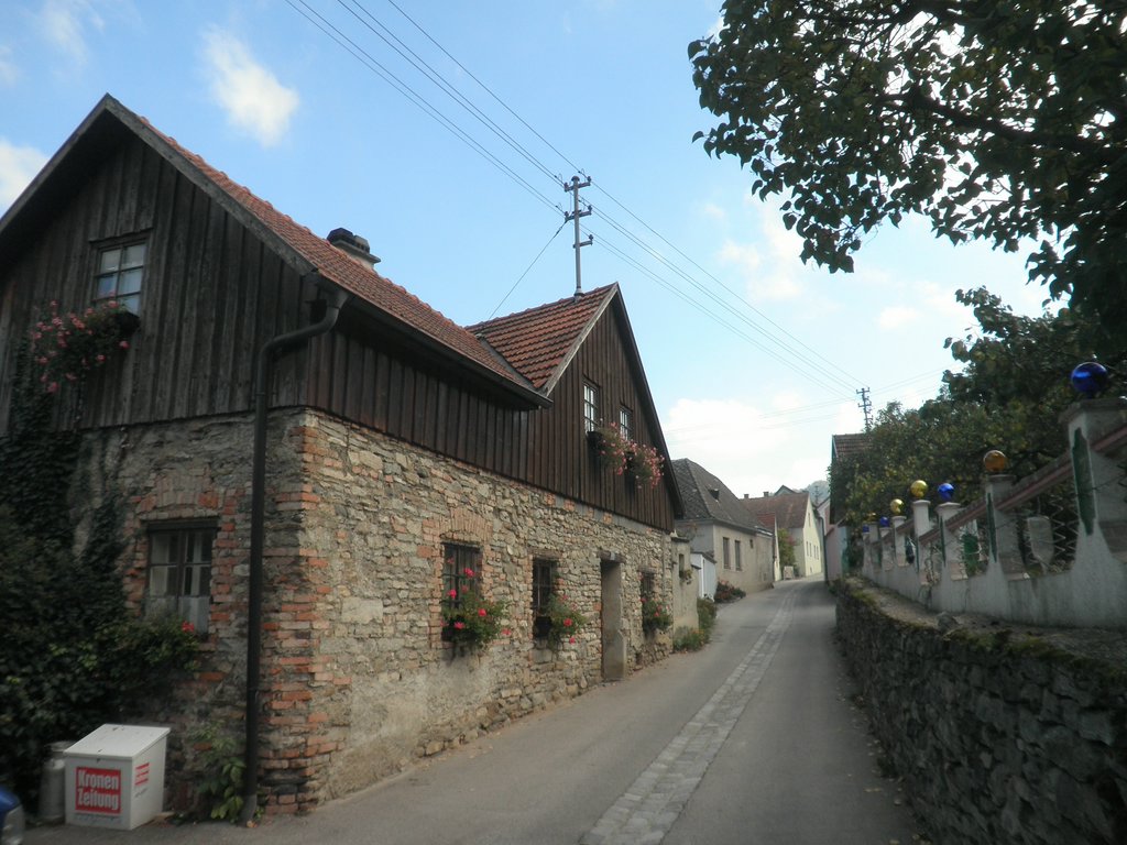 PA160033.JPG