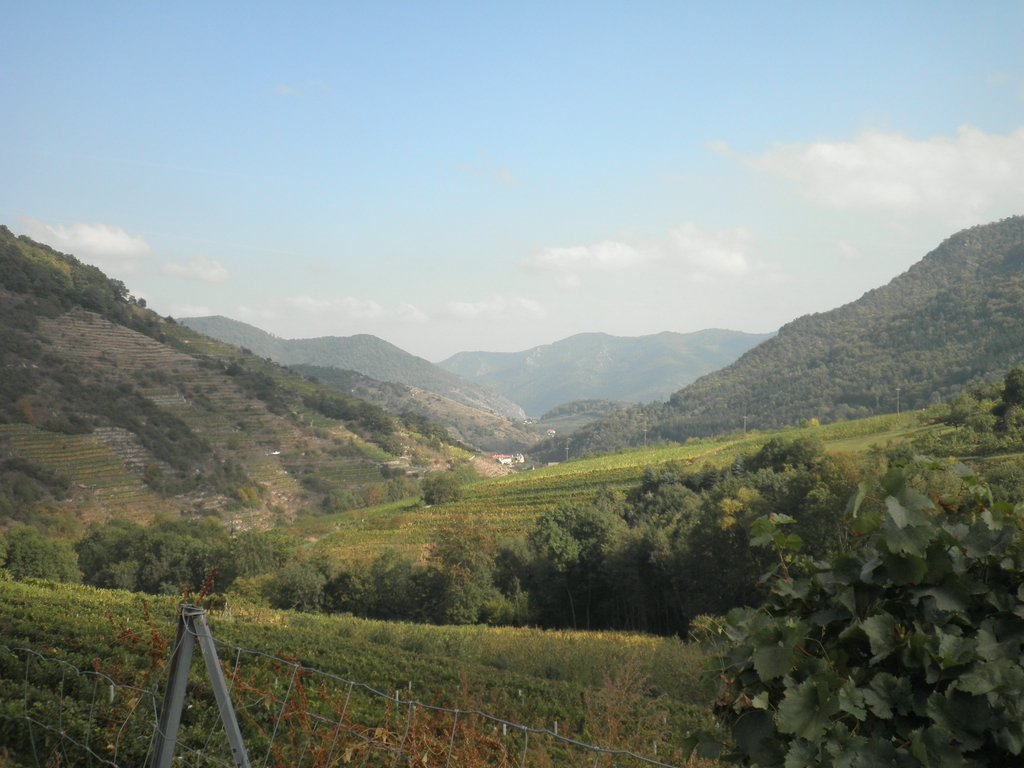 PA160035.JPG