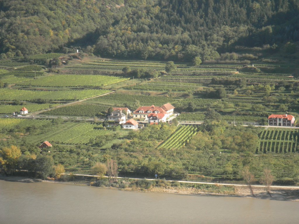 PA160049.JPG