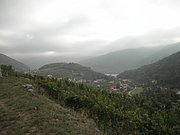 PA160011.JPG