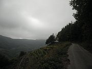 PA160014.JPG