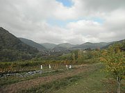 PA160020.JPG