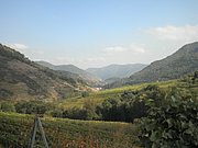PA160035.JPG