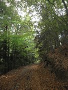 PA160036.JPG
