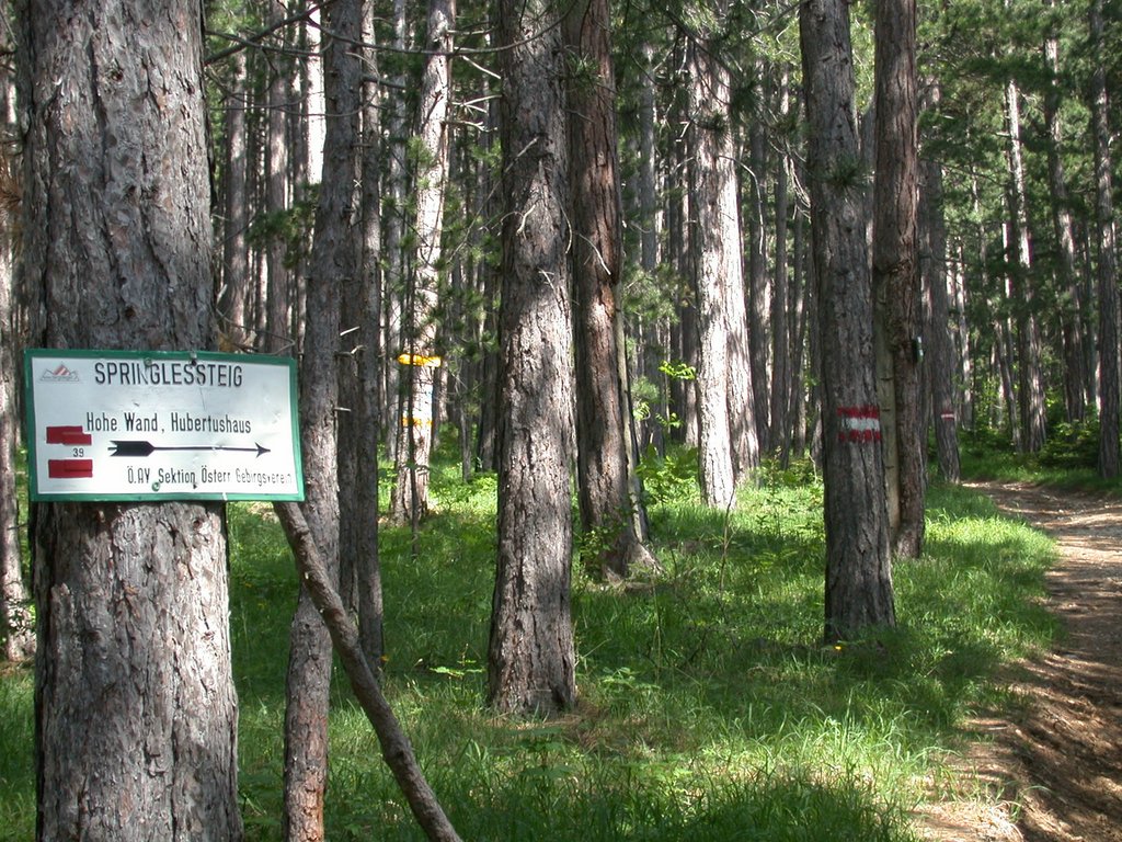 DSCN5707.JPG