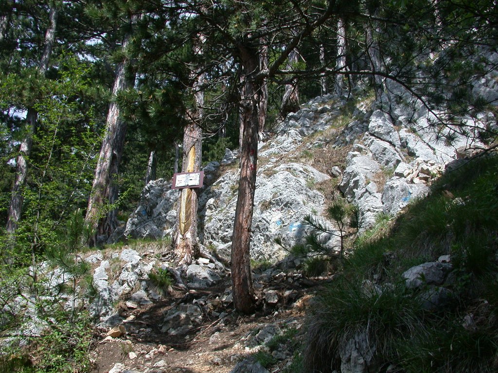 DSCN5710.JPG