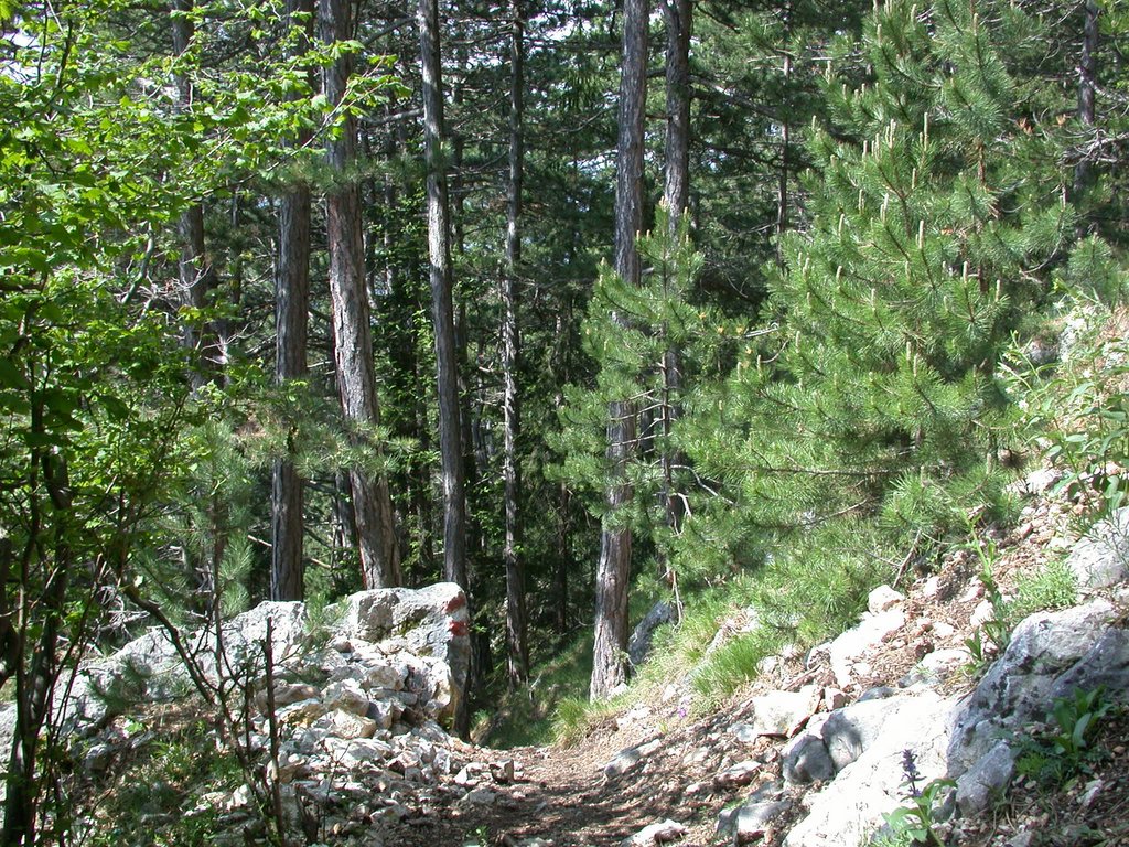 DSCN5712.JPG