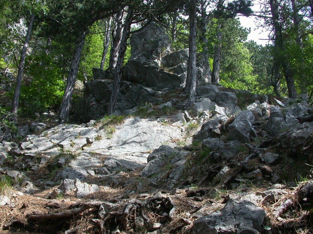 DSCN5715.JPG