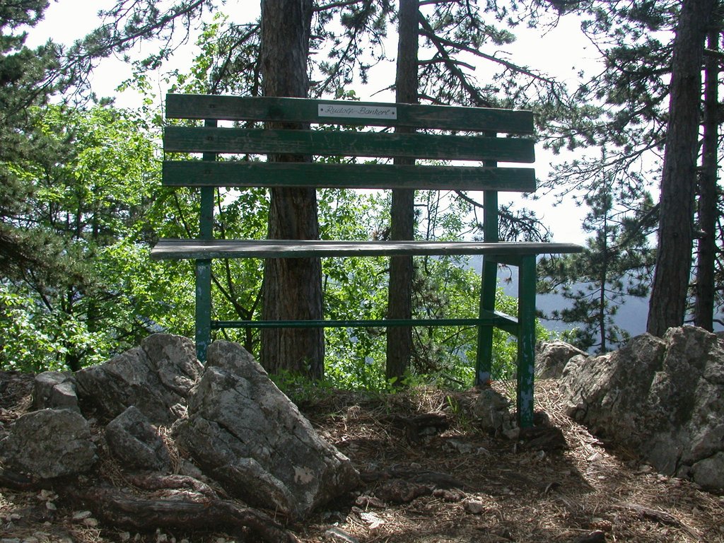 DSCN5718.JPG