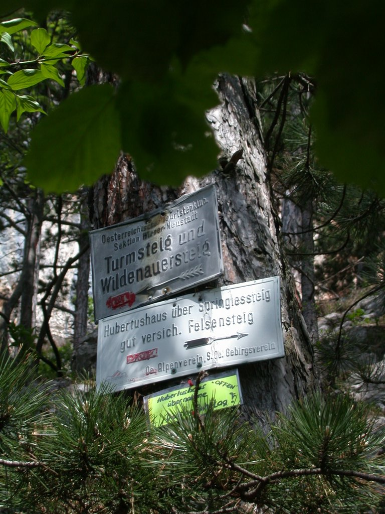 DSCN5724.JPG